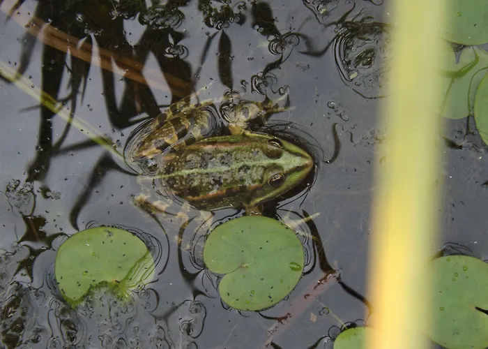 Ξενοδοχείο Helios Βουδαπέστη