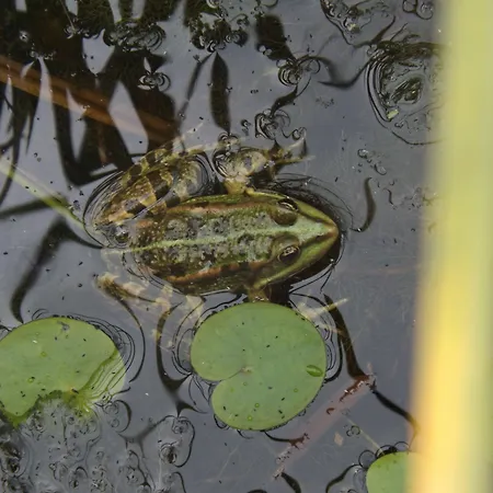 Hotel Helios Budapeszt