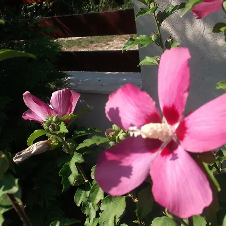 Hotel Helios Budapeszt